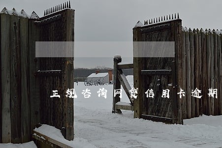 正规咨询网贷信用卡逾期
