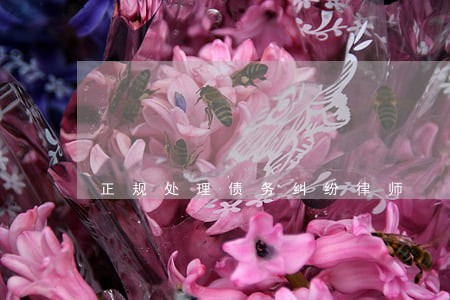正规处理债务纠纷律师