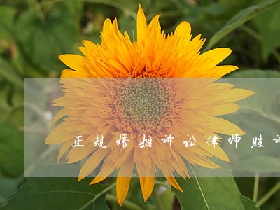 正规婚姻诉讼律师胜诉率高 正规婚姻诉讼律师胜诉率高