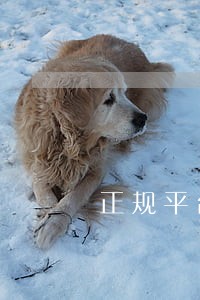 正规平台贷款逾期一年 正规平台贷款逾期一年