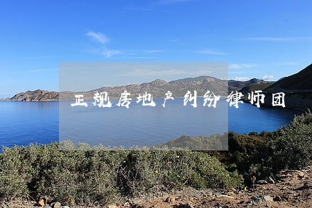 正规房地产纠纷律师团 正规房地产纠纷律师团