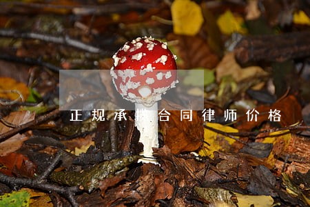 正规承揽合同律师价格