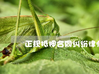 正规抵押合同纠纷律师 正规抵押合同纠纷律师