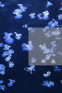 正规接单赚佣金的平台 正规接单赚佣金的平台