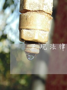 正规法律咨询服务费 正规法律咨询服务费