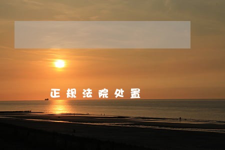 正规法院处置 正规法院处置