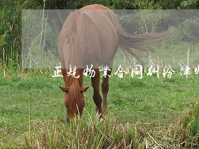 正规物业合同纠纷律师 正规物业合同纠纷律师