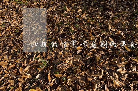 正规的信用卡逾期两年会怎么处理 正规的信用卡逾期两年会怎么处理