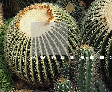 正规的信用卡逾期会被起诉吗 正规的信用卡逾期会被起诉吗