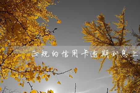 正规的信用卡逾期利息上海 正规的信用卡逾期利息上海