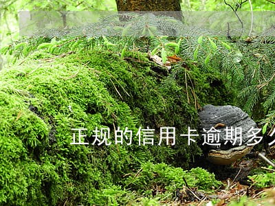 正规的信用卡逾期多久会起诉 正规的信用卡逾期多久会起诉