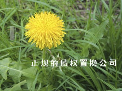 正规的债权置换公司 正规的债权置换公司
