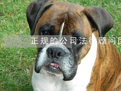 正规的公司法律顾问团队 正规的公司法律顾问团队