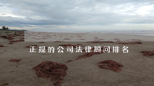 正规的公司法律顾问排名 正规的公司法律顾问排名