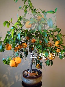 正规的刑事律师多少钱 正规的刑事律师多少钱