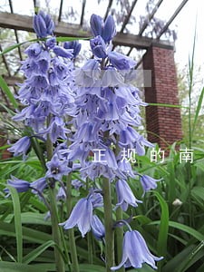 正规的南京法律顾问团队 正规的南京法律顾问团队