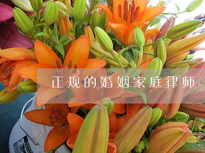 正规的婚姻家庭律师 正规的婚姻家庭律师