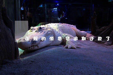 正规的消费贷逾期还款了4天 正规的消费贷逾期还款了4天