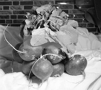 正规的知名离婚律师电话 正规的知名离婚律师电话