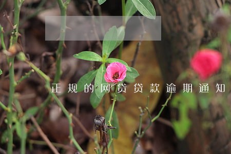 正规的网贷贷款逾期通知书 正规的网贷贷款逾期通知书