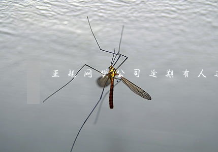 正规网贷公司逾期有人通知吗 正规网贷公司逾期有人通知吗