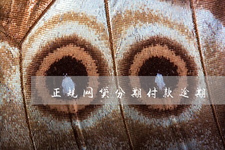 正规网贷分期付款逾期 正规网贷分期付款逾期