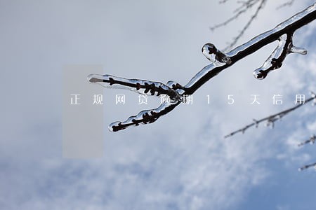 正规网贷逾期15天信用卡提额 正规网贷逾期15天信用卡提额