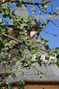 正规网贷逾期30万 正规网贷逾期30万
