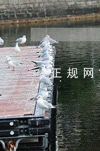 正规网贷逾期一天 正规网贷逾期一天