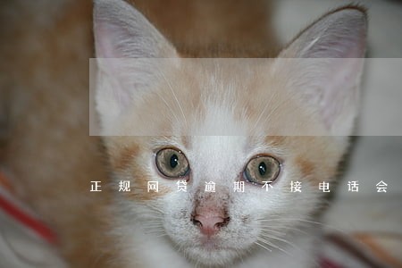 正规网贷逾期不接电话会怎么样 正规网贷逾期不接电话会怎么样