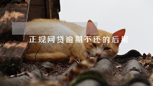 正规网贷逾期不还的后果 正规网贷逾期不还的后果