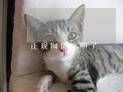 正规网贷逾期了 正规网贷逾期了