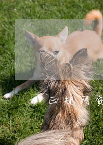 正规网贷逾期了会不断打电话吗 正规网贷逾期了会不断打电话吗