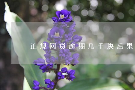 正规网贷逾期几千块后果 正规网贷逾期几千块后果