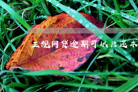 正规网贷逾期可以只还本金吗 正规网贷逾期可以只还本金吗