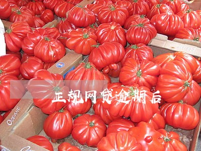 正规网贷逾期后 正规网贷逾期后