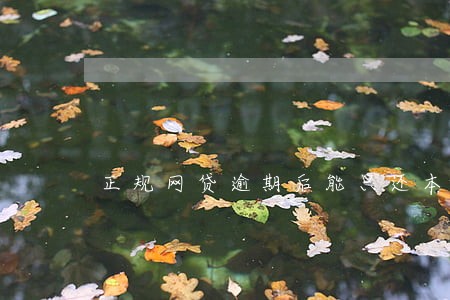 正规网贷逾期后能只还本金吗 正规网贷逾期后能只还本金吗