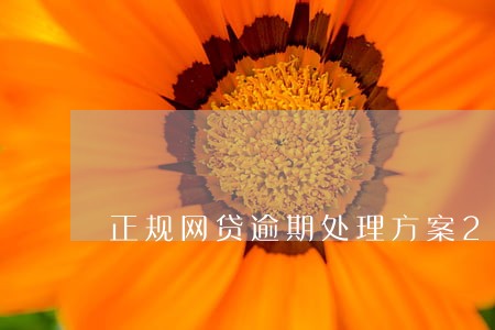 正规网贷逾期处理方案2020 正规网贷逾期处理方案2020
