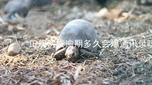 正规网贷逾期多久会爆通讯录吗 正规网贷逾期多久会爆通讯录吗