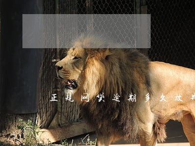 正规网贷逾期多久放弃催收 正规网贷逾期多久放弃催收