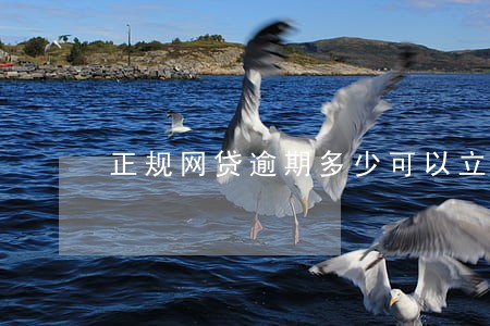 正规网贷逾期多少可以立案 正规网贷逾期多少可以立案