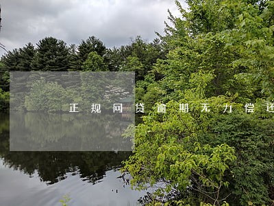 正规网贷逾期无力偿还怎么协商 正规网贷逾期无力偿还怎么协商