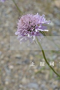 正规网贷逾期罚息多少 正规网贷逾期罚息多少