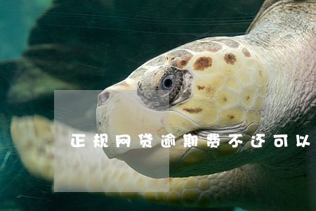 正规网贷逾期费不还可以吗 正规网贷逾期费不还可以吗