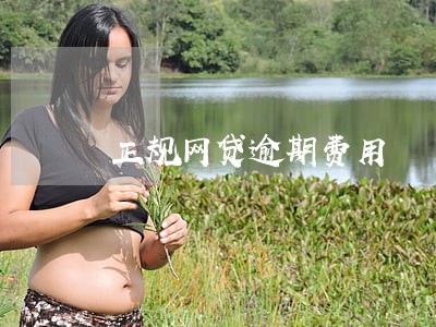 正规网贷逾期费用 正规网贷逾期费用