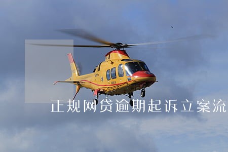 正规网贷逾期起诉立案流程 正规网贷逾期起诉立案流程