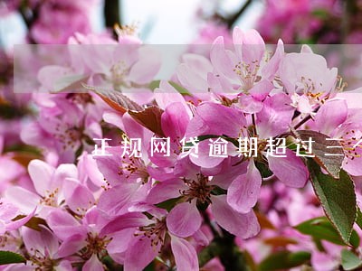 正规网贷逾期超过三个月 正规网贷逾期超过三个月