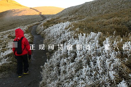 正规网贷逾期连三累六还能买房吗 正规网贷逾期连三累六还能买房吗