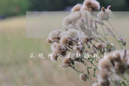 正规网贷逾期骚扰家人 正规网贷逾期骚扰家人