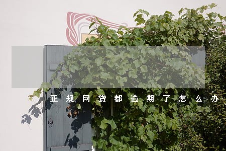 正规网贷都逾期了怎么办